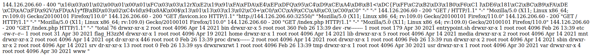 Contents ofvar/log/nginx/access.log with contents of folder