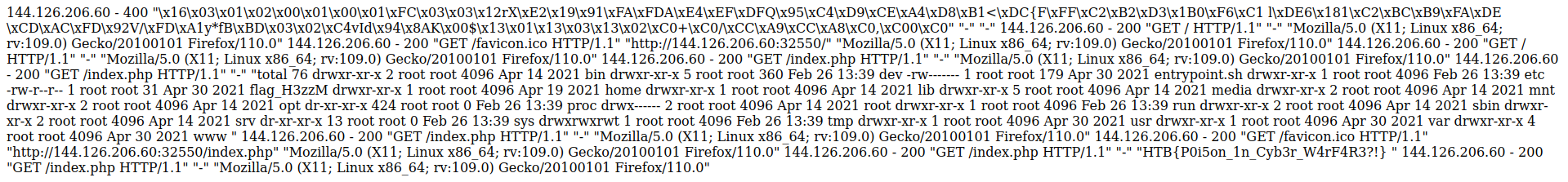 Contents ofvar/log/nginx/access.log with flag